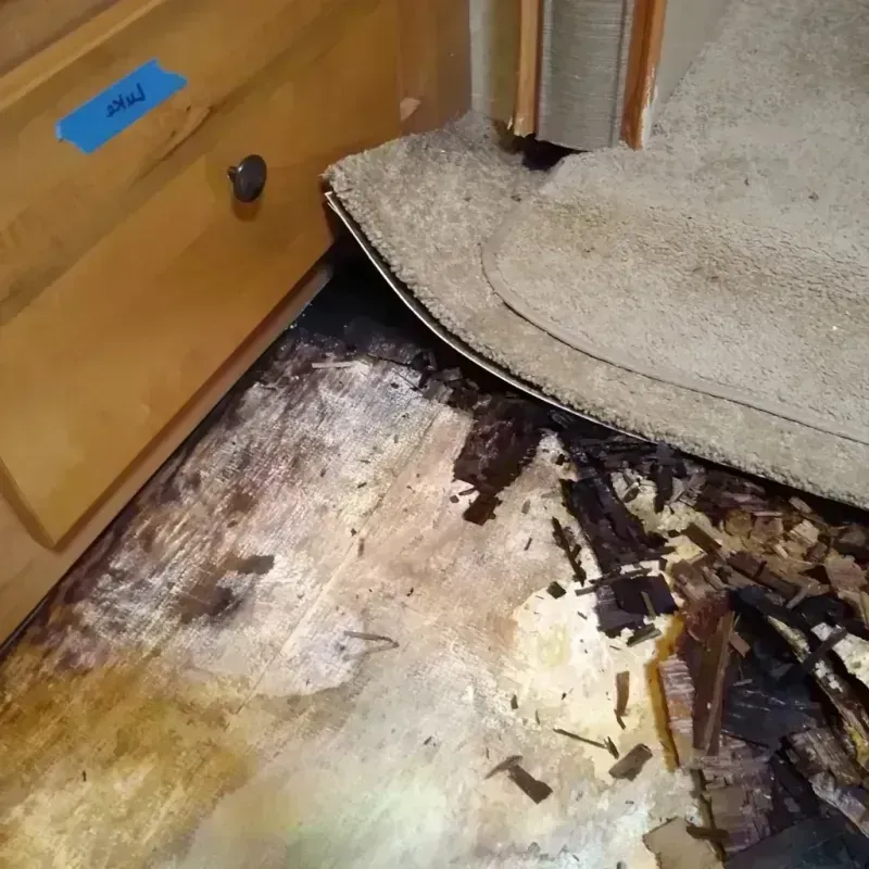 Wood Floor Water Damage in Shady Hills, FL